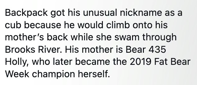 Backpack got his unusual nickname as a cub because he would climb onto his mother's back while she swam through Brooks River. His mother is Bear 435 Holly, who later became the 2019 Fat Bear Week champion herself.