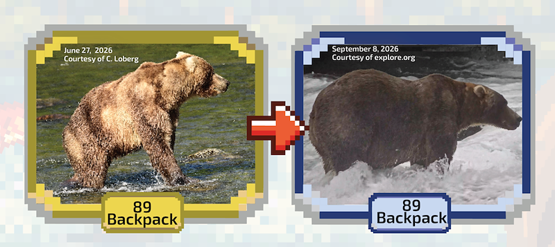 June 27, 2026 Courtesy of C. Loberg September 8, 2026 Courtesy of explore.org 89 Backpack 89 Backpack