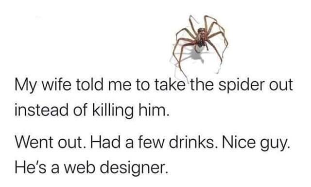 My wife told me to take the spider out instead of killing him. Went out. Had a few drinks. Nice guy. He's a web designer.