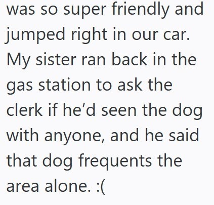 was so super friendly and jumped right in our car. My sister ran back in the gas station to ask the clerk if he'd seen the dog with anyone, and he said that dog frequents the area alone. :(