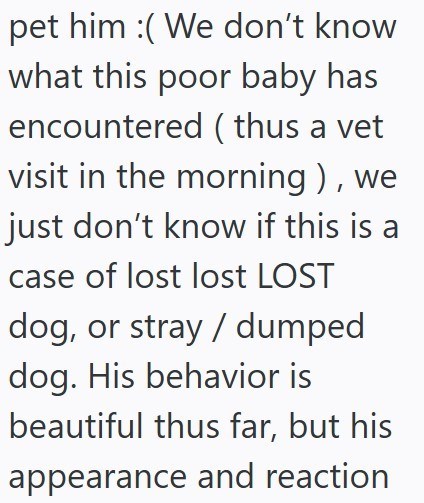 pet him :( We don't know what this poor baby has encountered (thus a vet visit in the morning), we just don't know if this is a case of lost lost LOST dog, or stray / dumped dog. His behavior is beautiful thus far, but his appearance and reaction