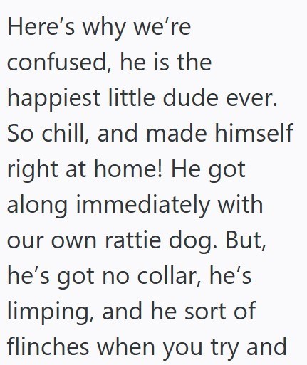 Here's why we're confused, he is the happiest little dude ever. So chill, and made himself right at home! He got along immediately with our own rattie dog. But, he's got no collar, he's limping, and he sort of flinches when you try and