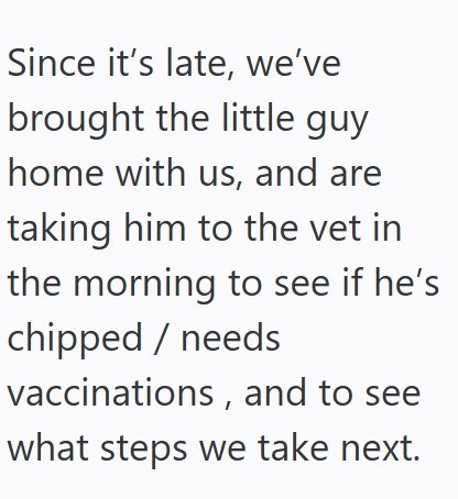 Since it's late, we've brought the little guy home with us, and are taking him to the vet in the morning to see if he's chipped / needs vaccinations, and to see what steps we take next.