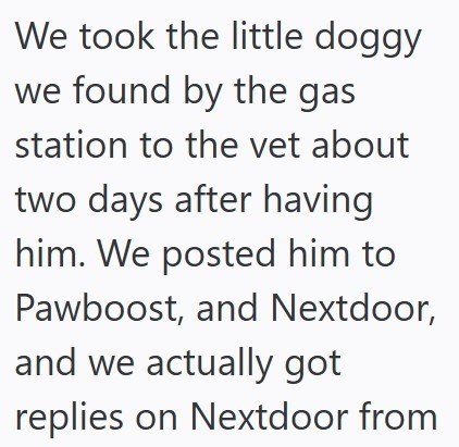 We took the little doggy we found by the gas station to the vet about two days after having him. We posted him to Pawboost, and Nextdoor, and we actually got replies on Nextdoor from