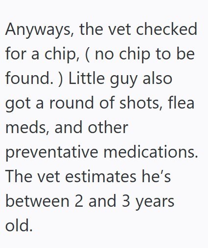 Anyways, the vet checked for a chip, (no chip to be found.) Little guy also got a round of shots, flea meds, and other preventative medications. The vet estimates he's between 2 and 3 years old.
