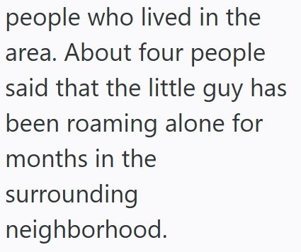 people who lived in the area. About four people said that the little guy has been roaming alone for months in the surrounding neighborhood.