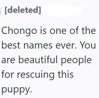[deleted] Chongo is one of the best names ever. You are beautiful people for rescuing this puppy.