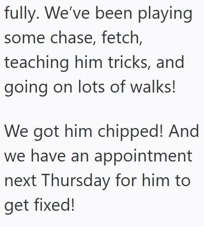 fully. We've been playing some chase, fetch, teaching him tricks, and going on lots of walks! We got him chipped! And we have an appointment next Thursday for him to get fixed!