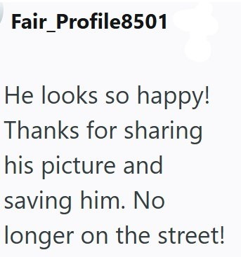 Fair_Profile8501 He looks so happy! Thanks for sharing his picture and saving him. No longer on the street!