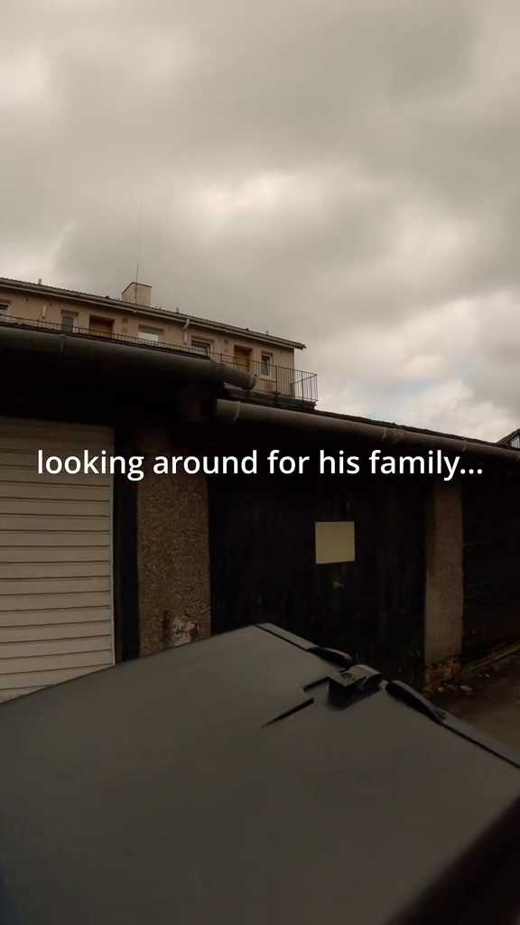 looking around for his family...