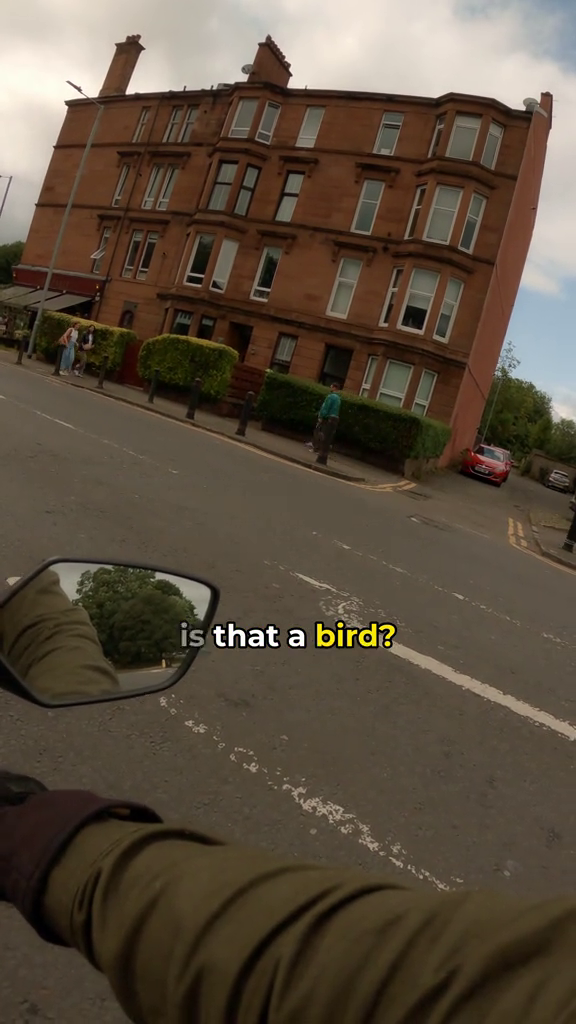 is that a bird?