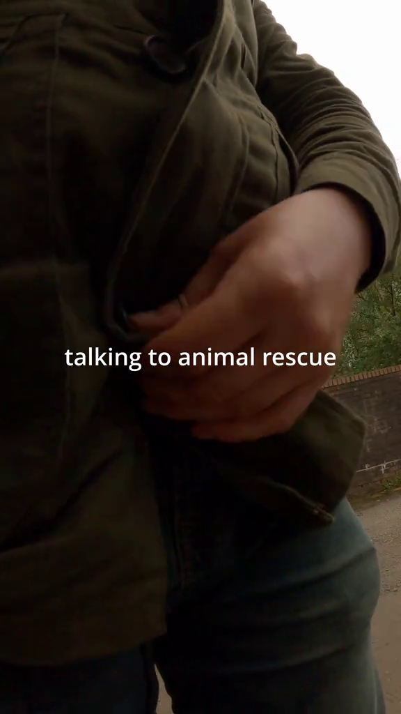 talking to animal rescue