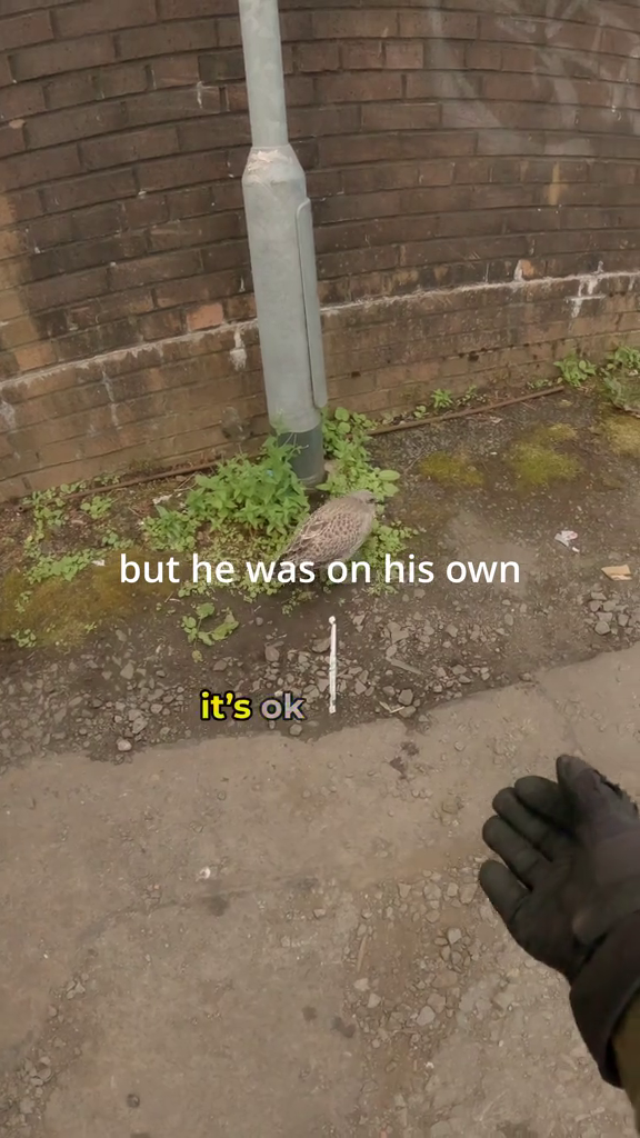 but he was on his own it's ok