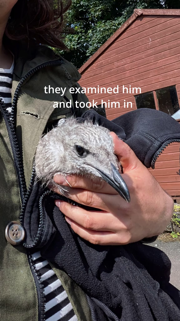 they examined him and took him in