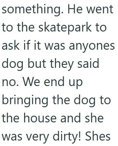 something. He went to the skatepark to ask if it was anyones dog but they said no. We end up bringing the dog to the house and she was very dirty! Shes