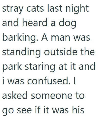 stray cats last night and heard a dog barking. A man was standing outside the park staring at it and i was confused. I asked someone to go see if it was his