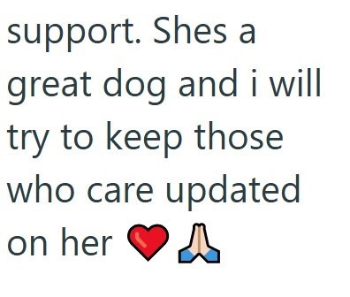 support. Shes a great dog and i will try to keep those who care updated on her A