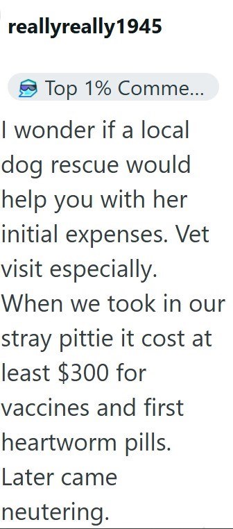 reallyreally1945 Top 1% Comme... I wonder if a local dog rescue would help you with her initial expenses. Vet visit especially. When we took in our stray pittie it cost at least $300 for vaccines and first heartworm pills. Later came neutering.