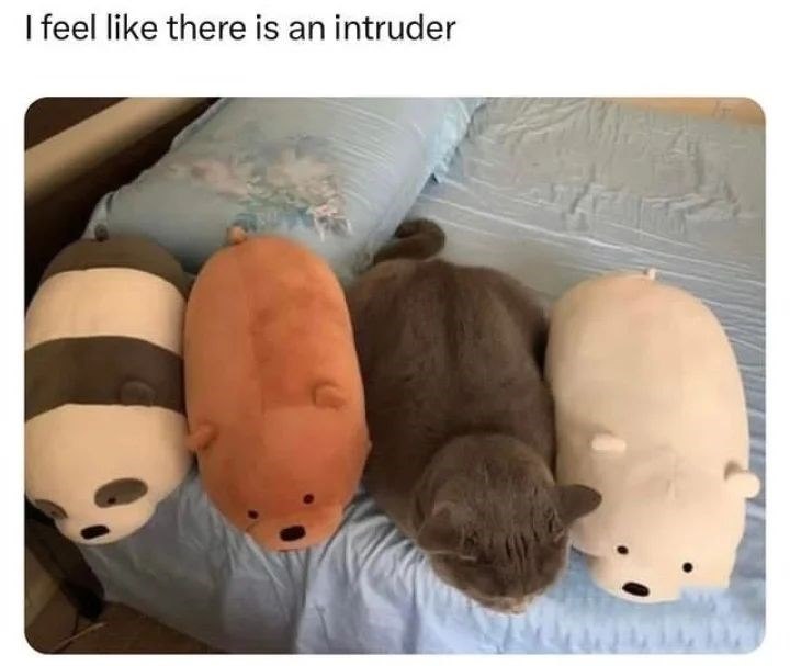 I feel like there is an intruder