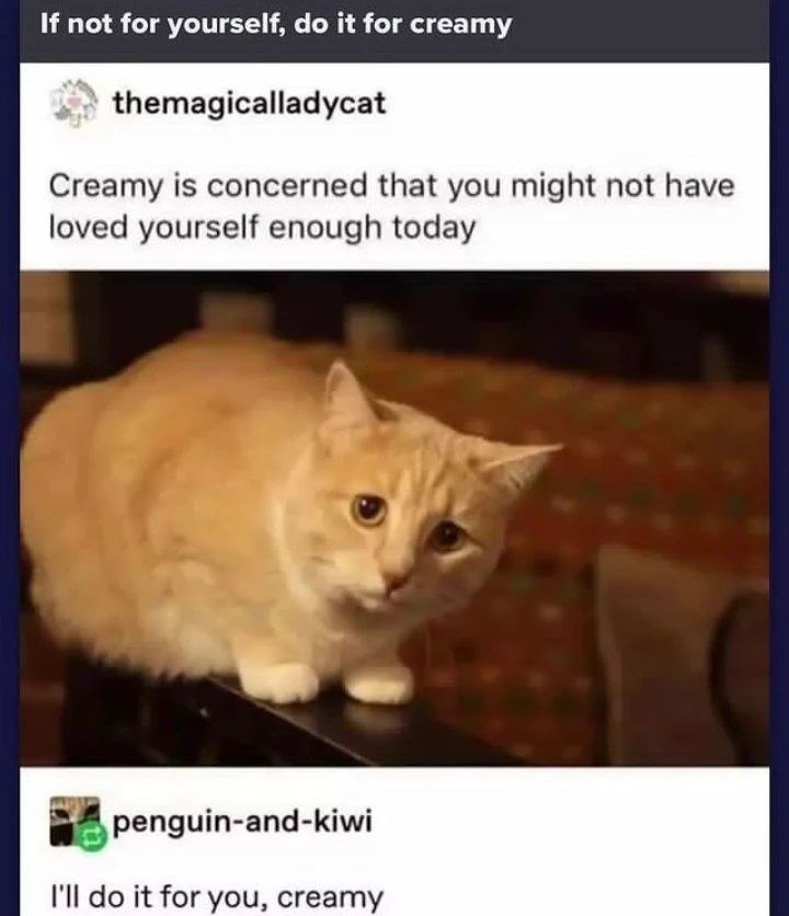 If not for yourself, do it for creamy themagicalladycat Creamy is concerned that you might not have loved yourself enough today penguin-and-kiwi I'll do it for you, creamy
