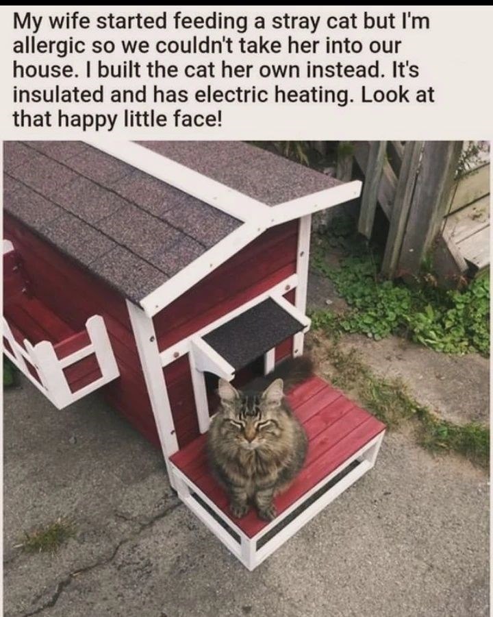My wife started feeding a stray cat but I'm allergic so we couldn't take her into our house. I built the cat her own instead. It's insulated and has electric heating. Look at that happy little face!
