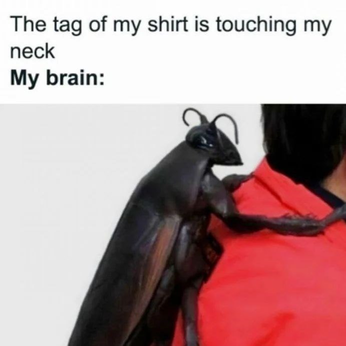 10- The tag of my shirt is touching my neck My brain: