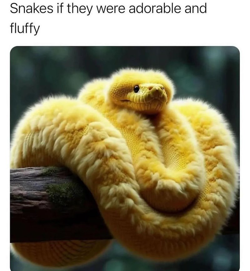 Snakes if they were adorable and fluffy