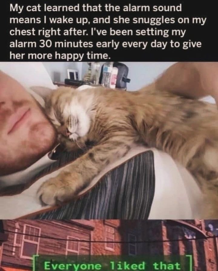 My cat learned that the alarm sound means I wake up, and she snuggles on my chest right after. I've been setting my alarm 30 minutes early every day to give her more happy time. Everyone liked that