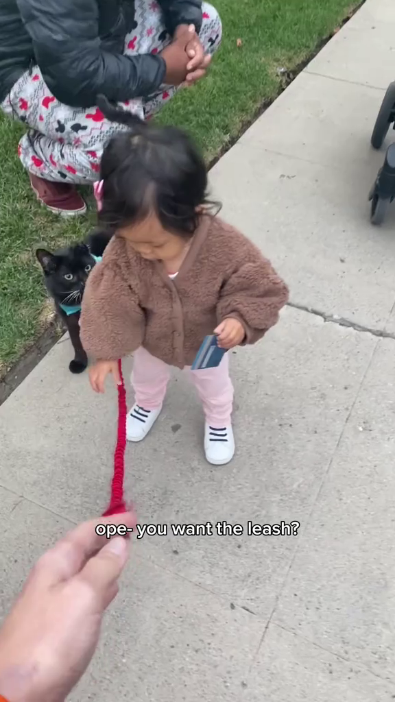 ope- you want the leash?