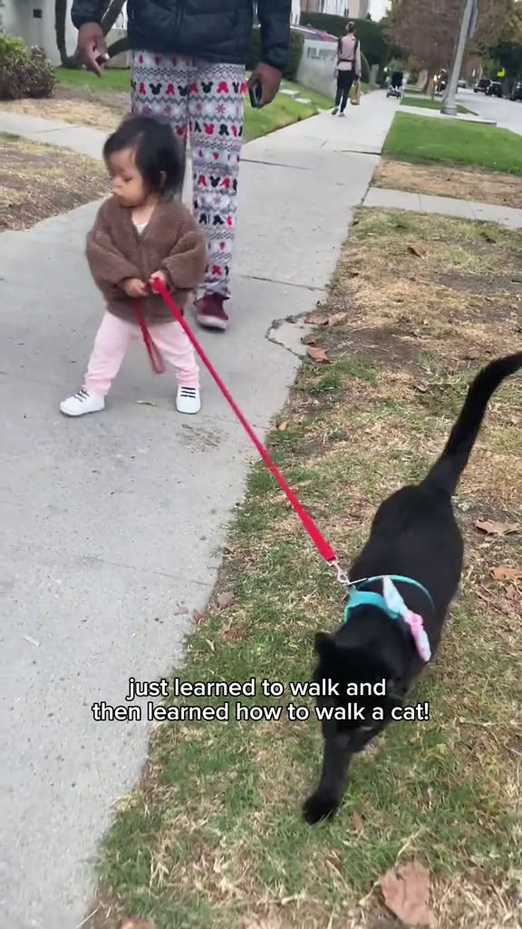 www WANAY AVAL just learned to walk and then learned how to walk a cat!