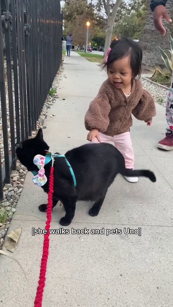 [she walks back and pets Uno]