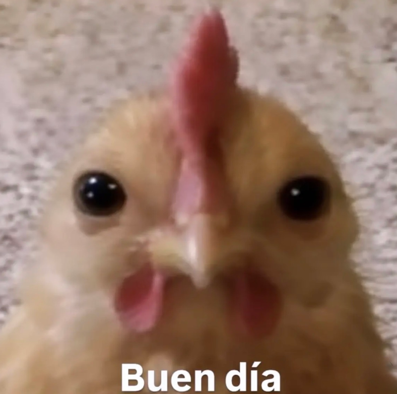 Buen día