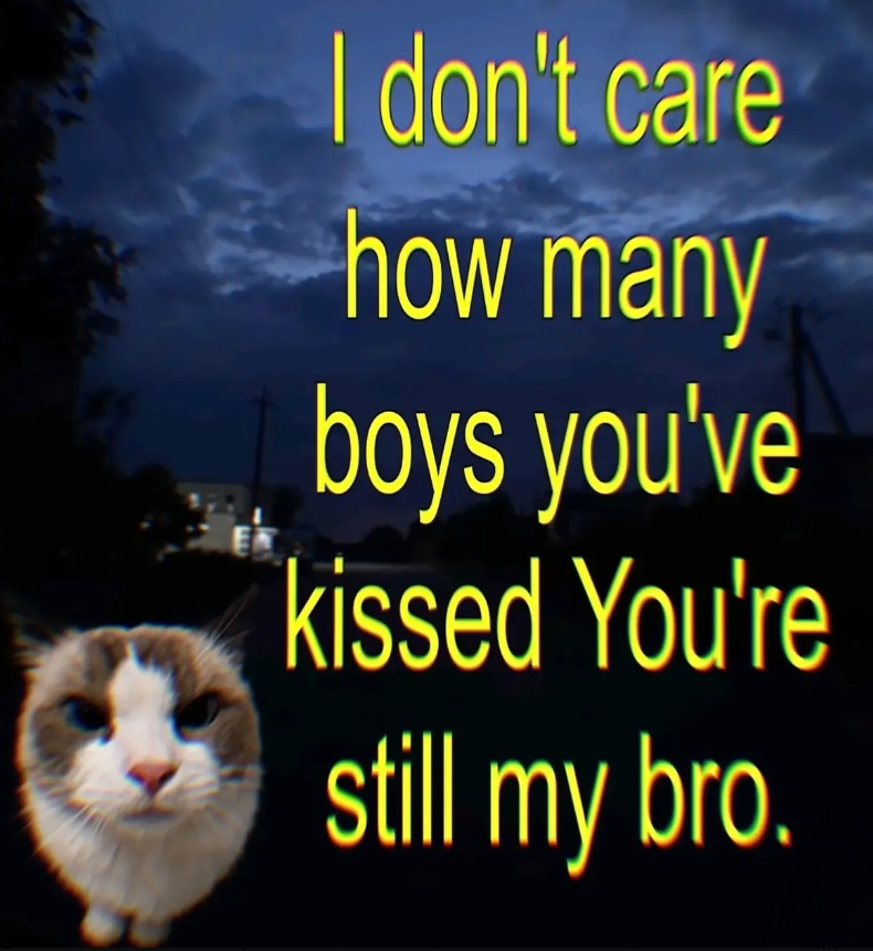 I don't care how many boys you've kissed You're still my bro.