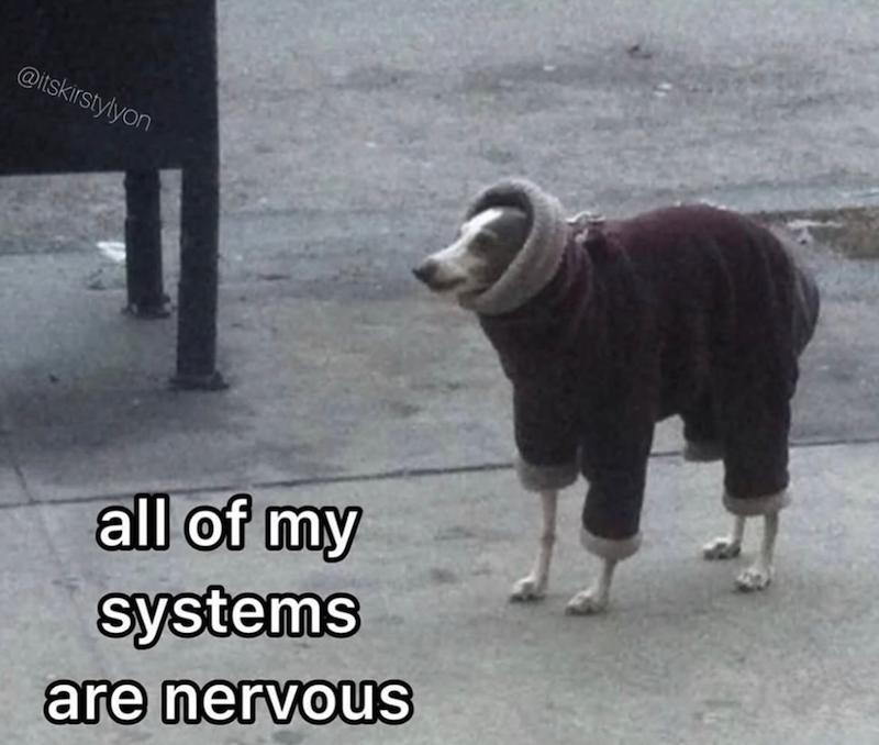 @itskirstylyon all of my systems are nervous