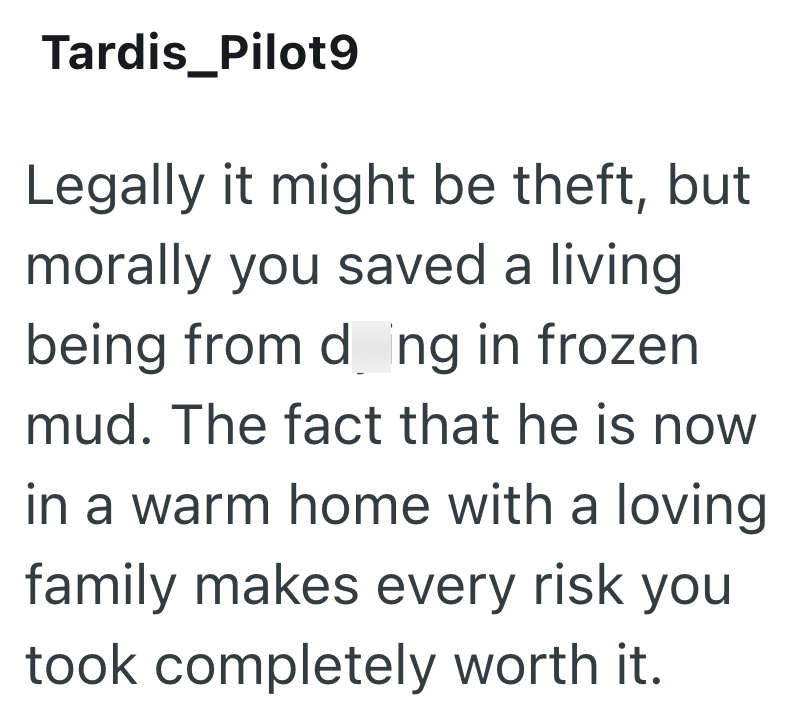 Tardis_Pilot9 Legally it might be theft, but morally you saved a living being from dng in frozen mud. The fact that he is now in a warm home with a loving family makes every risk you took completely worth it.
