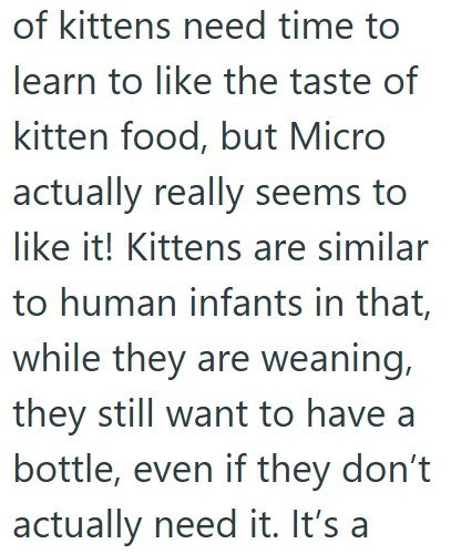 of kittens need time to learn to like the taste of kitten food, but Micro actually really seems to like it! Kittens are similar to human infants in that, while they are weaning, they still want to have a bottle, even if they don't actually need it. It's a