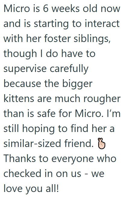 Micro is 6 weeks old now and is starting to interact with her foster siblings, though I do have to supervise carefully because the bigger kittens are much rougher than is safe for Micro. I'm still hoping to find her a similar-sized friend. Thanks to everyone who checked in on us - we love you all!