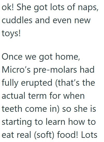 ok! She got lots of naps, cuddles and even new toys! Once we got home, Micro's pre-molars had fully erupted (that's the actual term for when teeth come in) so she is starting to learn how to eat real (soft) food! Lots