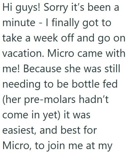 Hi guys! Sorry it's been a minute I finally got to - take a week off and go on vacation. Micro came with me! Because she was still needing to be bottle fed (her pre-molars hadn't come in yet) it was easiest, and best for Micro, to join me at my