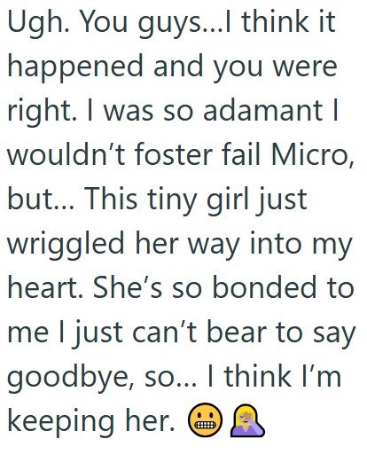 Ugh. You guys...I think it happened and you were right. I was so adamant I wouldn't foster fail Micro, but... This tiny girl just wriggled her way into my heart. She's so bonded to me I just can't bear to say goodbye, so... I think I'm A keeping her.