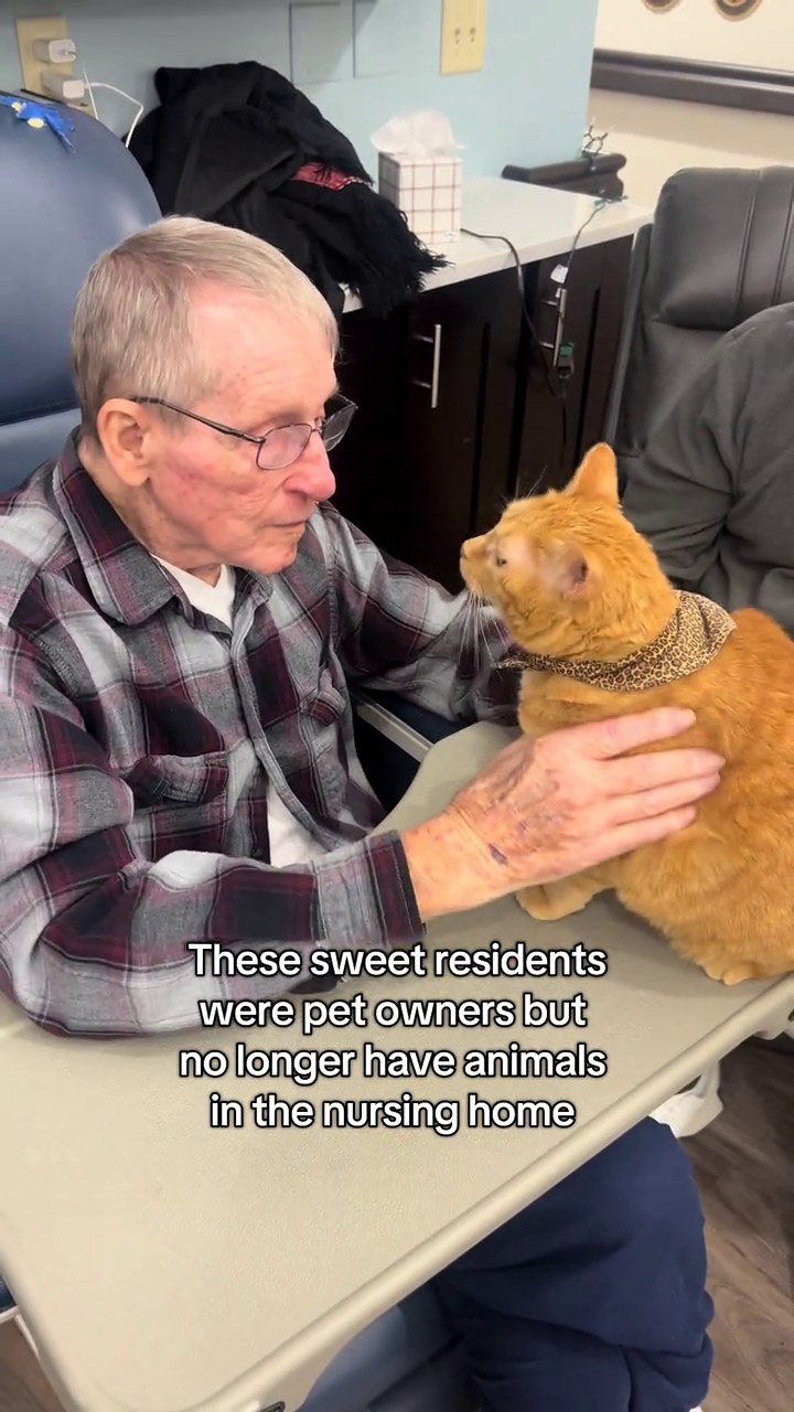 These sweet residents were pet owners but no longer have animals in the nursing home