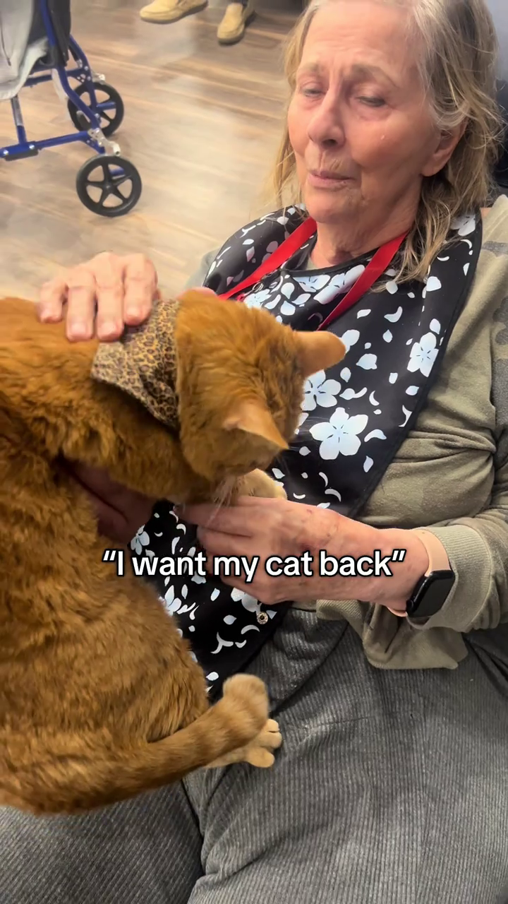 "I want my cat back"