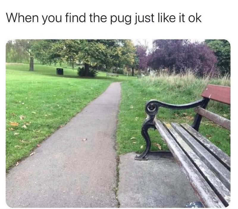 When you find the pug just like it ok