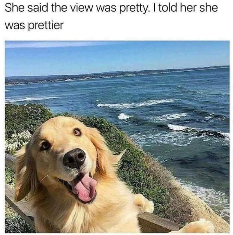 She said the view was pretty. I told her she was prettier