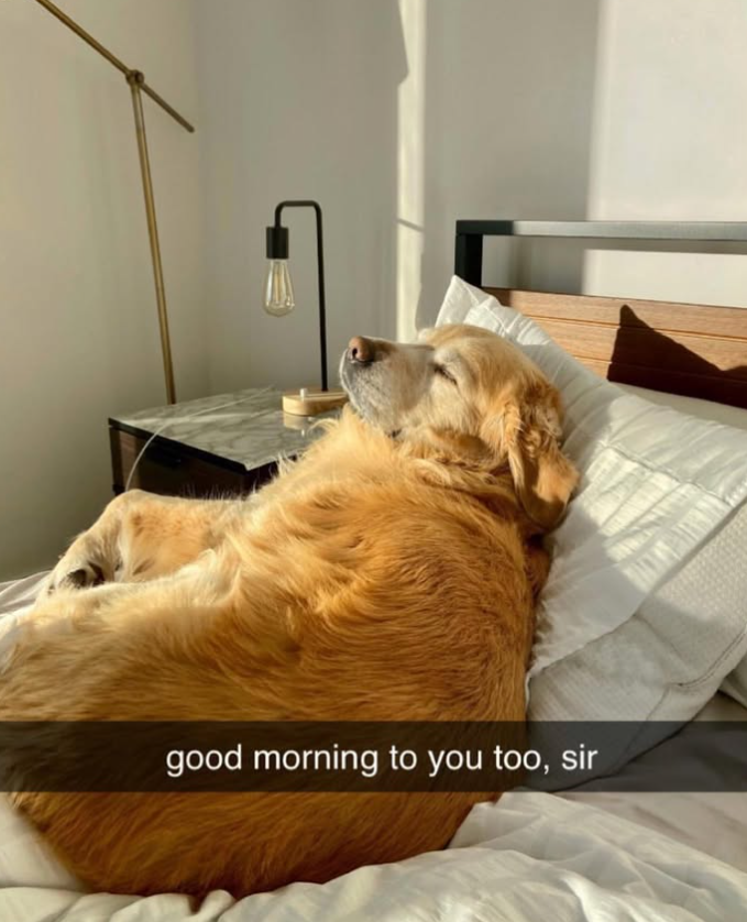 good morning to you too, sir