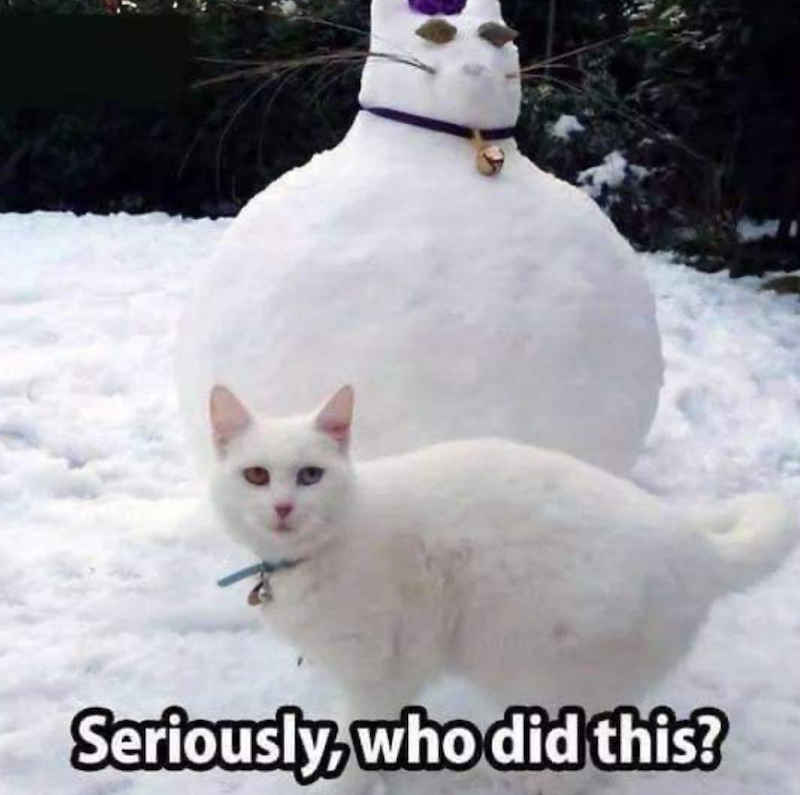 Seriously, who did this?