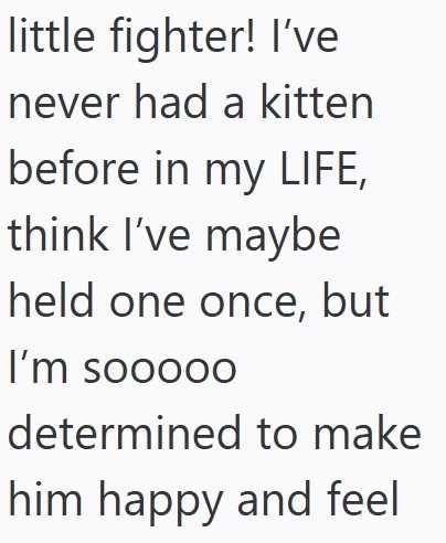 little fighter! I've never had a kitten before in my LIFE, think I've maybe held one once, but I'm sooooo determined to make him happy and feel