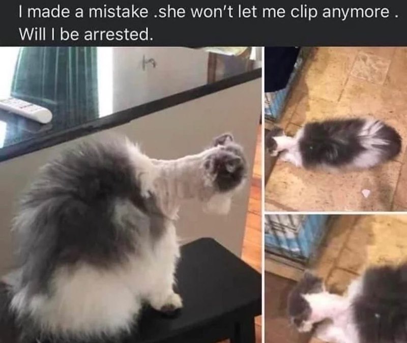 I made a mistake .she won't let me clip anymore. Will I be arrested.