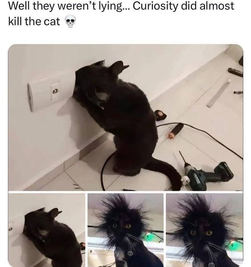 Well they weren't lying... Curiosity did almost kill the cat