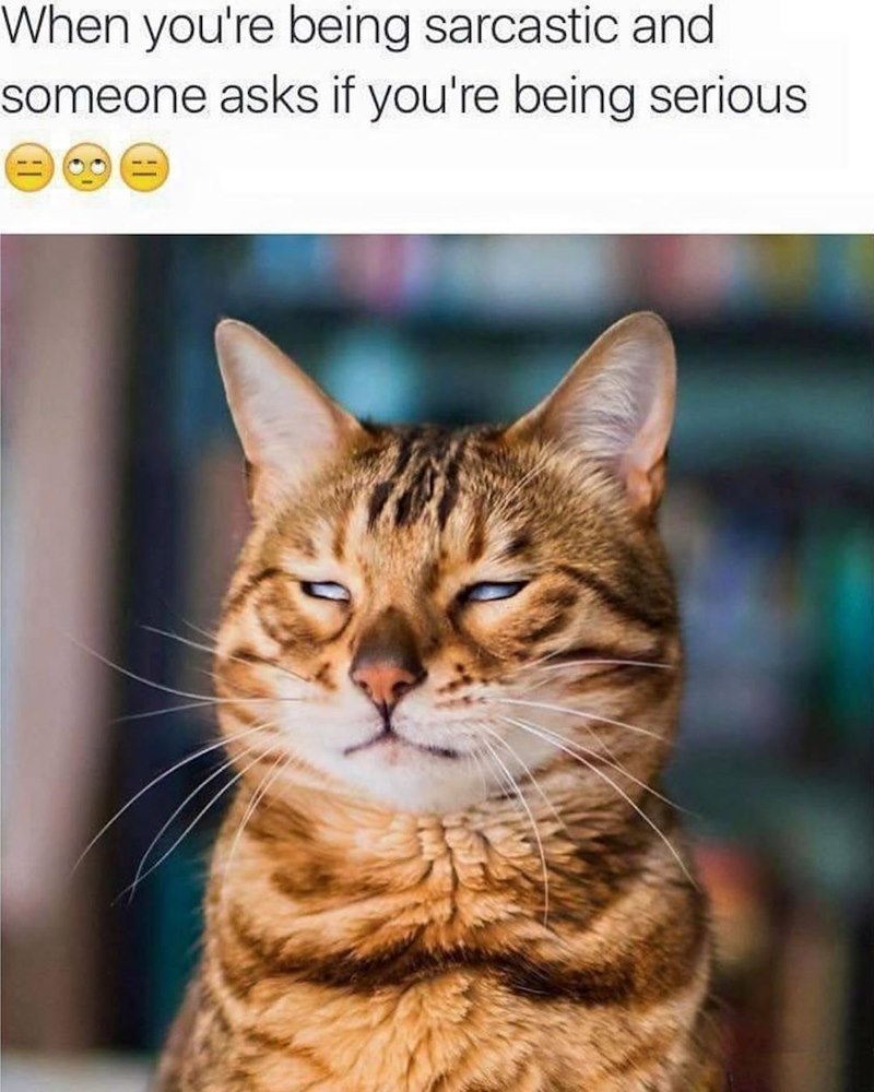 When you're being sarcastic and someone asks if you're being serious